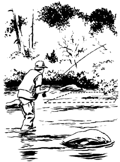 shorefishtack_approach